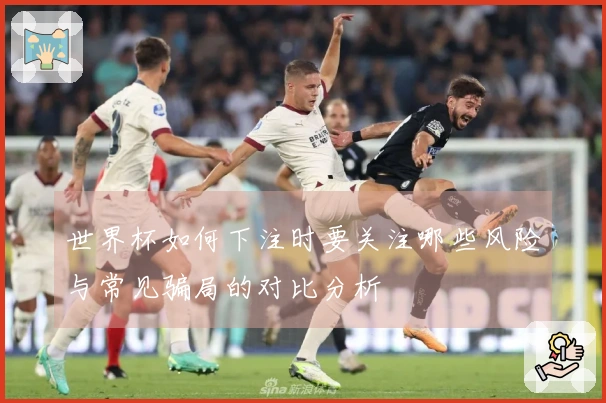 世界杯如何下注时要关注哪些风险与常见骗局的对比分析